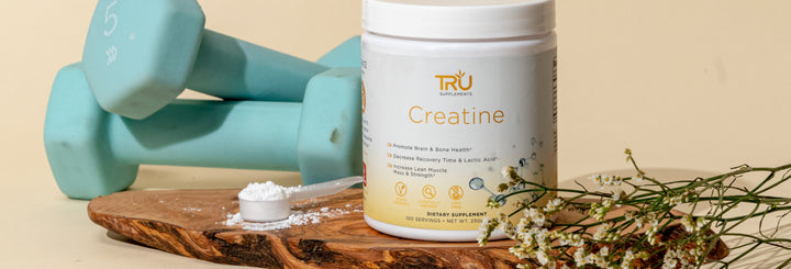 Creatine for Your Brain and Aging