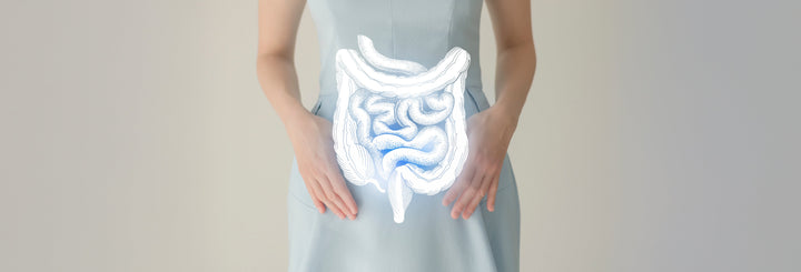 Understanding Your Metabolism - Get Lean and Stay Lean