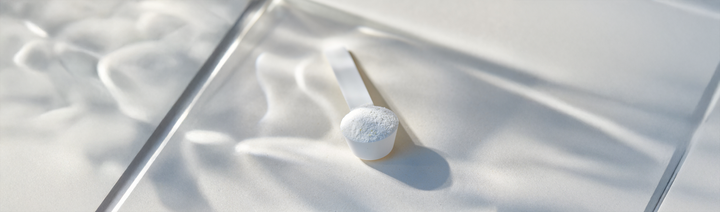 Should Women Take Creatine?